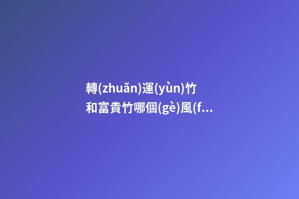 轉(zhuǎn)運(yùn)竹和富貴竹哪個(gè)風(fēng)水更好，擺放竹子的講究